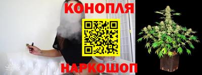гидра Шебекино