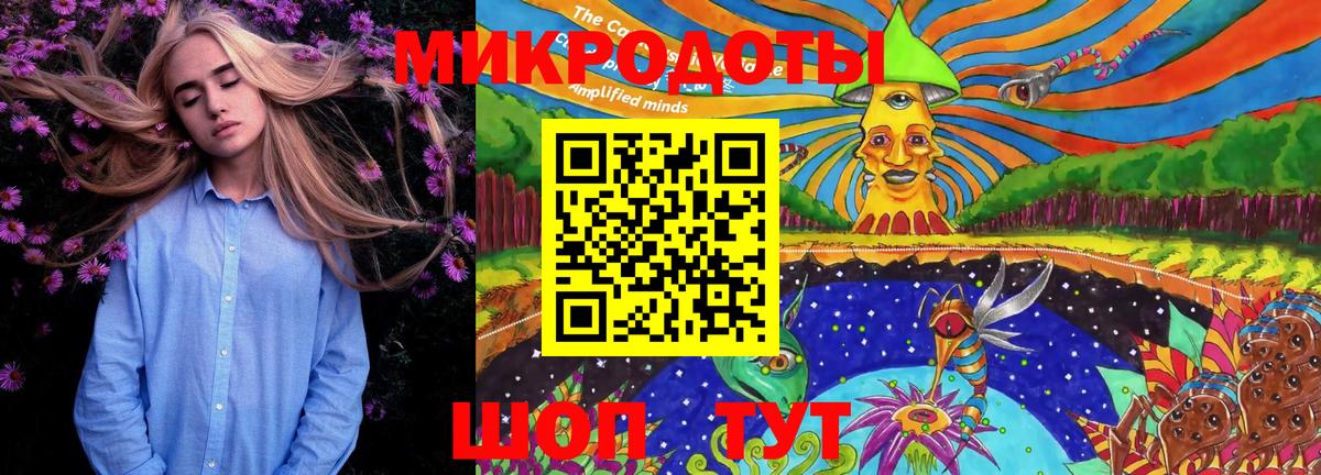 Псилоцибиновые грибы Cubensis Симферополь