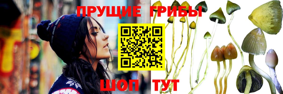 Псилоцибиновые грибы MAGIC MUSHROOMS  Вход с VPN  Симферополь 
